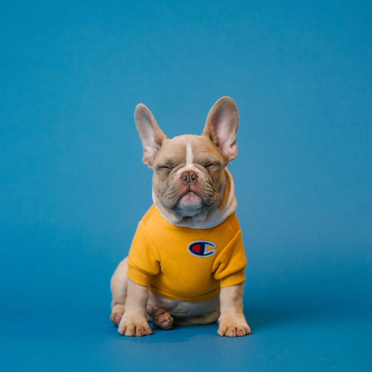 CCM Store 33 CCM Store -CCM Store karsten winegeart 5PVXkqt2s9k unsplash